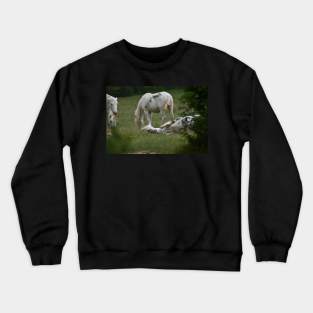 Wild Horse Crewneck Sweatshirt